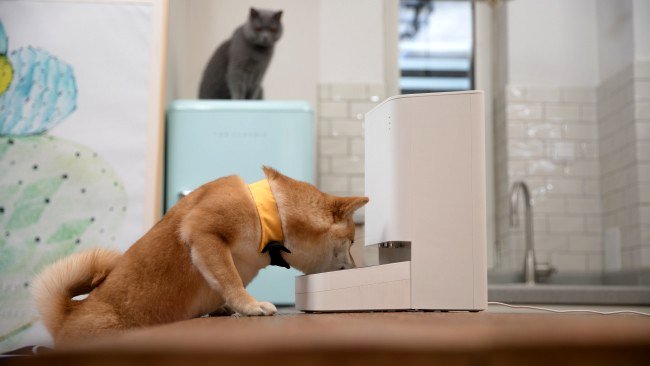 Xiaomi Smart Pet Food Feeder