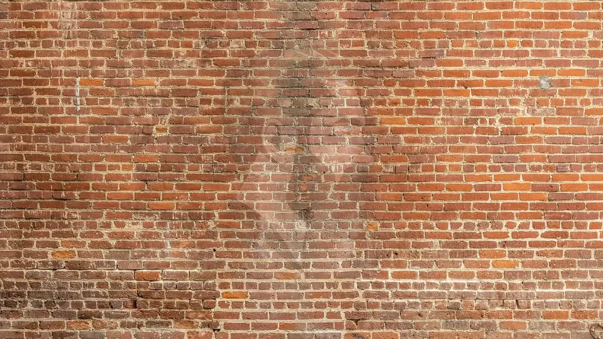 Ilusión óptica para poner a prueba tu coeficiente intelectual: Lo que se esconde en esta pared